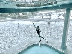 -青鱼湾水上乐园