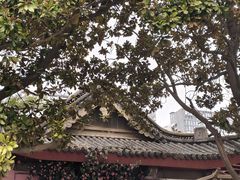 -西苑公园