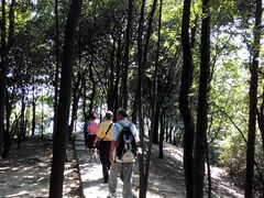 -火炉山森林公园
