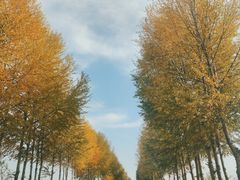 -扁都口生态休闲旅游区