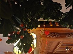 -八府香鸭·啫啫煲(华山路店)