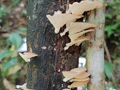 -赤水丹霞旅游区·佛光岩