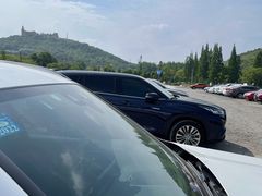 -上海佘山国家森林公园东门地面停车场