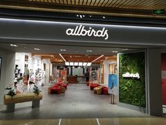 -allbirds(三里屯太古里南区店)