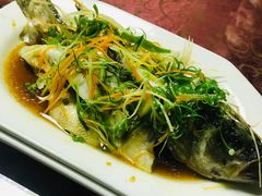 -天元河田土鸡店(莲花山店)