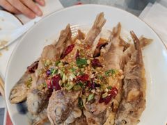 -添福来墨鱼饺子 · 海鲜东北菜(大连星海·黄浦路店)