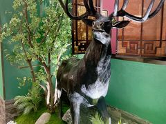 -新白鹿餐厅(银泰西湖文化广场店)
