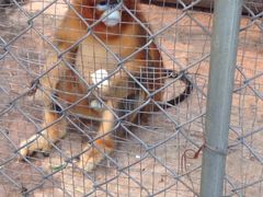 iphone_upload_pic-祥源·阜阳生态乐园