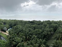 -三亚湾海居铂尔曼度假酒店