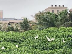 -霞山观海长廊