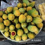古镇重游