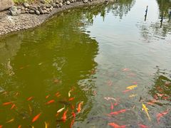 -海南文笔峰盘古文化旅游区