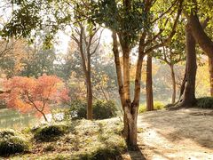 -狼山风景名胜区