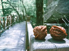 -青峰峡国家森林公园