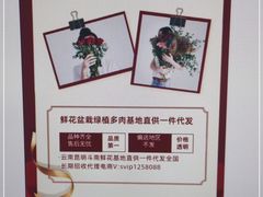 -昆明国际花卉拍卖交易中心