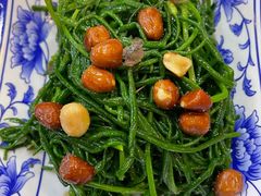 -靖远尕六美味羊羔肉