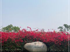 -中国科学院西双版纳热带植物园