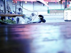 -有间冰室(侨港风情街店)