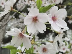 -太阳宫公园