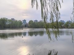 -WhaleSports户外水上运动俱乐部(朝阳公园店)