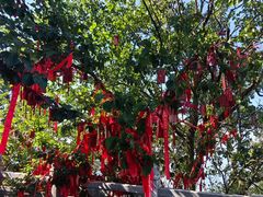 -终南山南五台景区