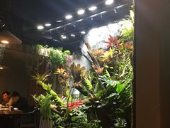 -森味薪火烧•烧鸟居酒屋•日本料理(望京店)