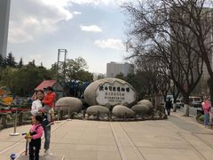 -陕西自然博物馆