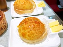 -南枝记