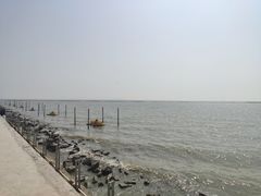 -贡湖湾湿地公园