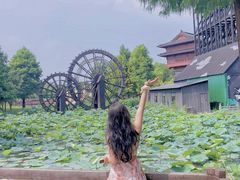 -东台西溪天仙缘景区