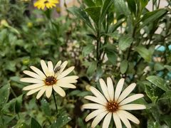 -艾加柒克蛋糕茶歇甜品台(春熙路店)