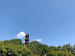 -红花山公园