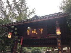 -青城甲(青城山店)