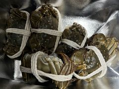 -阳澄湖大闸蟹·琼灵阁牌品牌连锁(吴中总店)