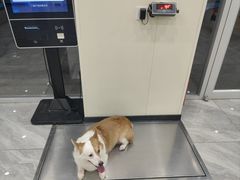-德元·美联众合24小时动物医院(总院)