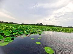 -上海海湾国家森林公园