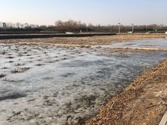 -大兴滨河森林公园