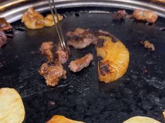 -杨小佳·齐齐哈尔烤肉·烤串(广州店)
