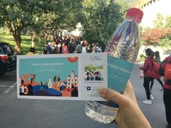 -西湖外事游船(花港观鱼码头)