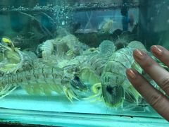 -班赞海鲜市场