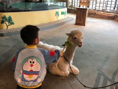 -KKV(深圳宏发大仟里店)