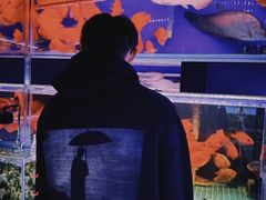 -沈阳北市场花鱼古玩城