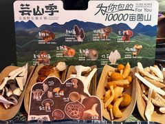 当季野生菌五拼-芸山季·云南野生菌火锅(人民广场来福士店)