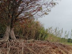 -南京金牛湖风景区