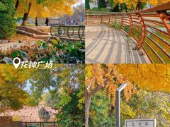 -石家庄市植物园