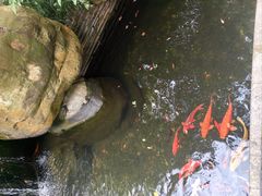 -上海浦东星河湾酒店