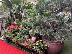 -山水茶艺馆·点心粤菜·30年老字号