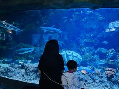 -南昌融创海世界