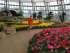 -芽庄珍珠岛游乐园