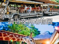 -清迈夜间动物园